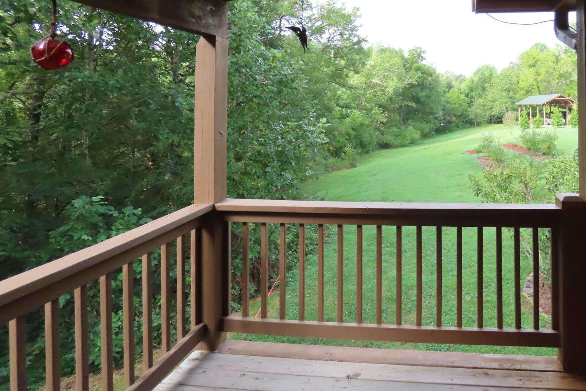 Scenic Fox Ridge Cabin On 4 Acres With Hot Tub! Whittier Exterior foto