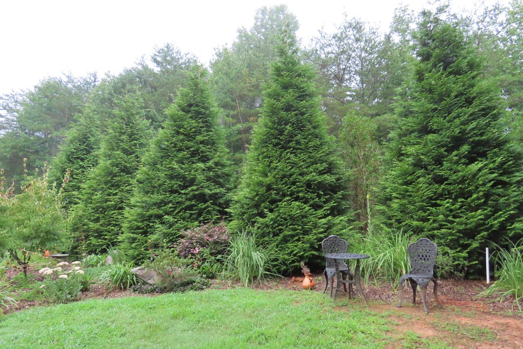 Scenic Fox Ridge Cabin On 4 Acres With Hot Tub! Whittier Exterior foto